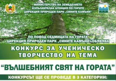 "Вълшебният свят на гората" - СУ Хаджи Мина Пашов - Сливен